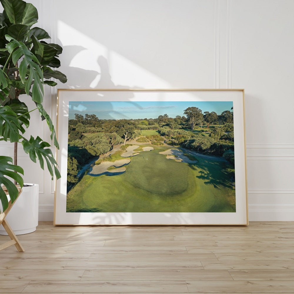Framed Prints
