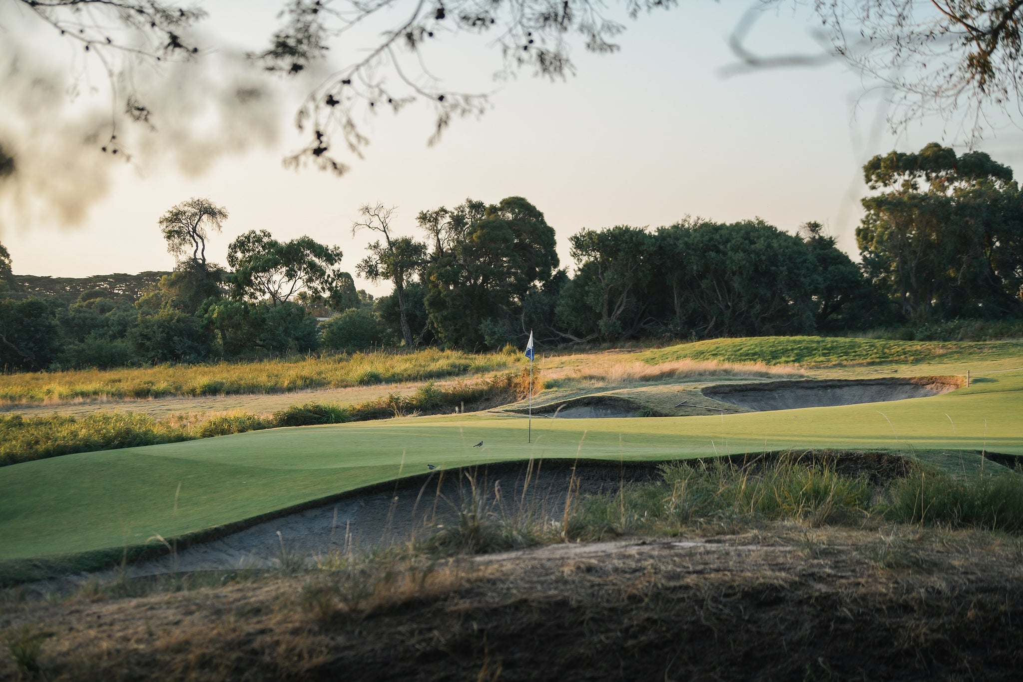 5 West at Royal Melbourne